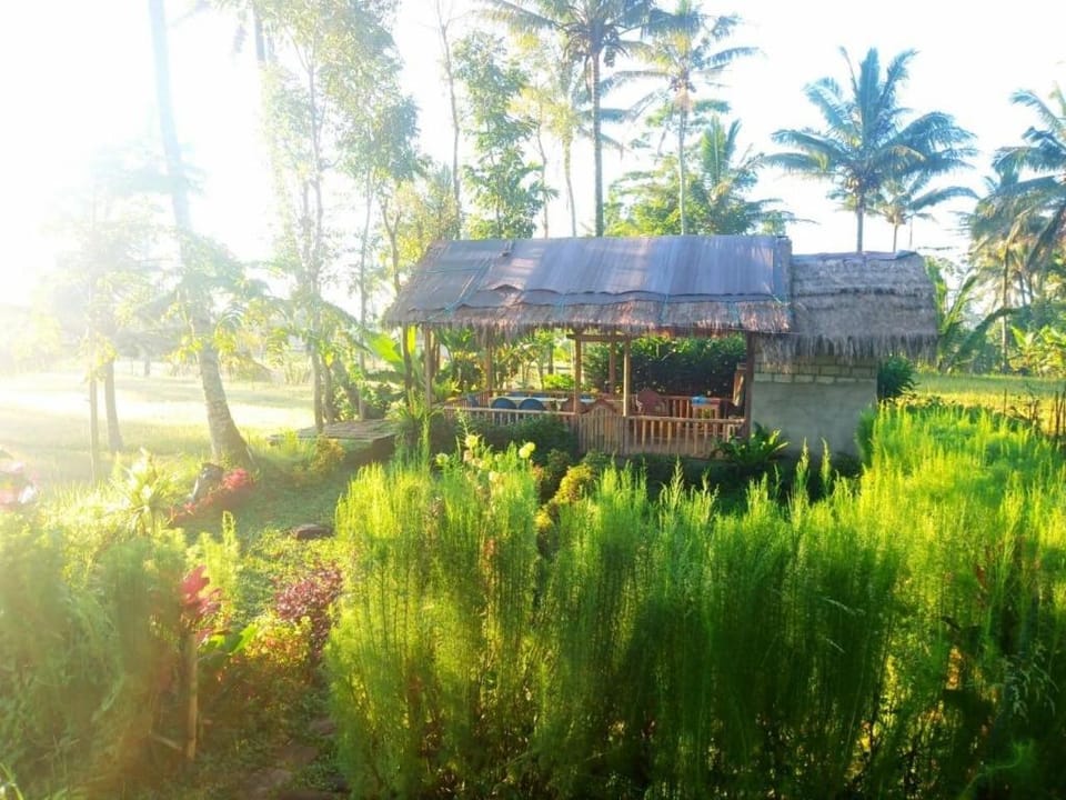 Tereng wilis bungalows Vacation rental in West Nusa Tenggara, Indonesia