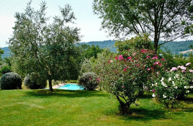 Casale chimneys immersed in olive trees Villa in Umbria