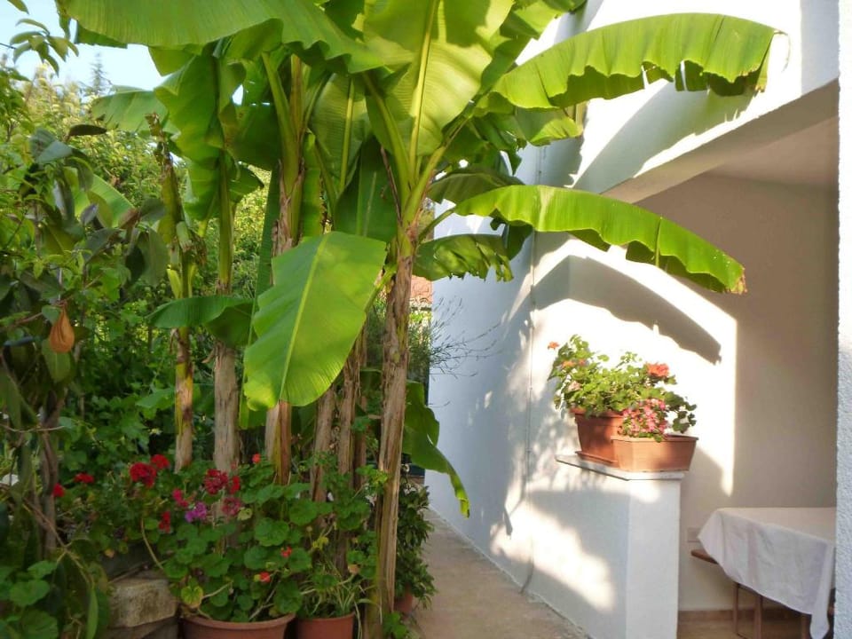 Angelo apartment, in the quiet part of Porec, with air conditioned max5 people Apartment in Poreč