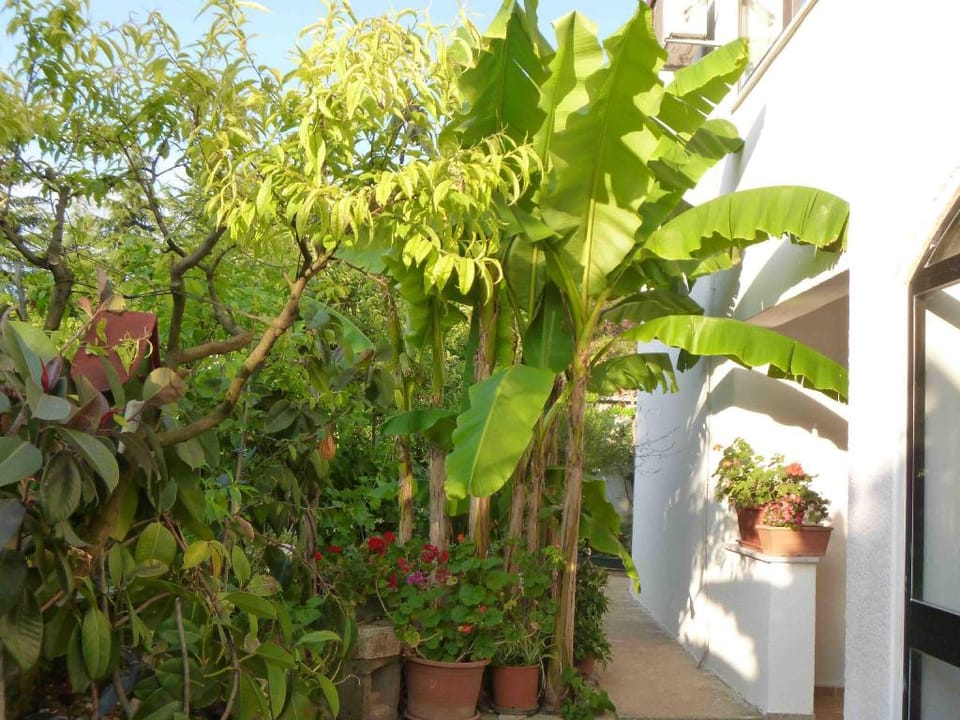 Angelo apartment, in the quiet part of Porec, with air conditioned max5 people Apartment in Poreč