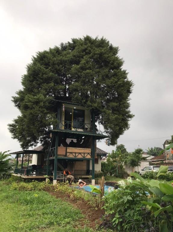 Villa Rumah Pohon Villa in Cisarua