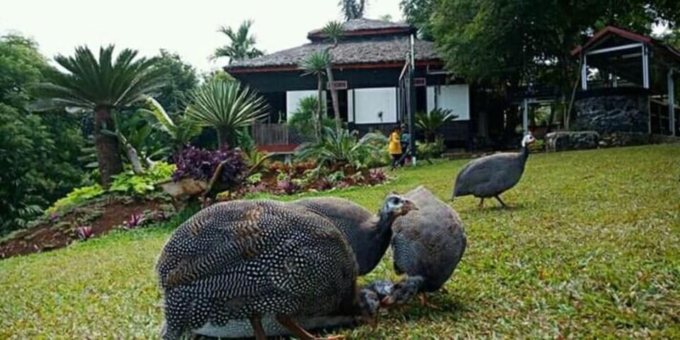 Sago Park  Vacation rental in West Java