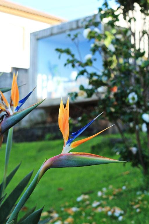 Private stone villa rental with sea view in the azores Vacation rental in Azores District