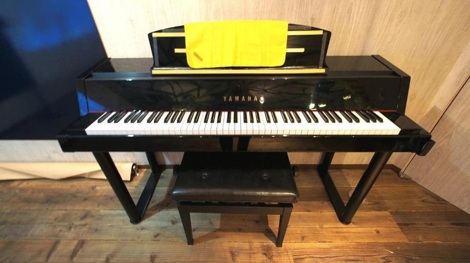 Grand Piano 160㎡  ※Shinjuku Studio House Vacation rental in Shinjuku