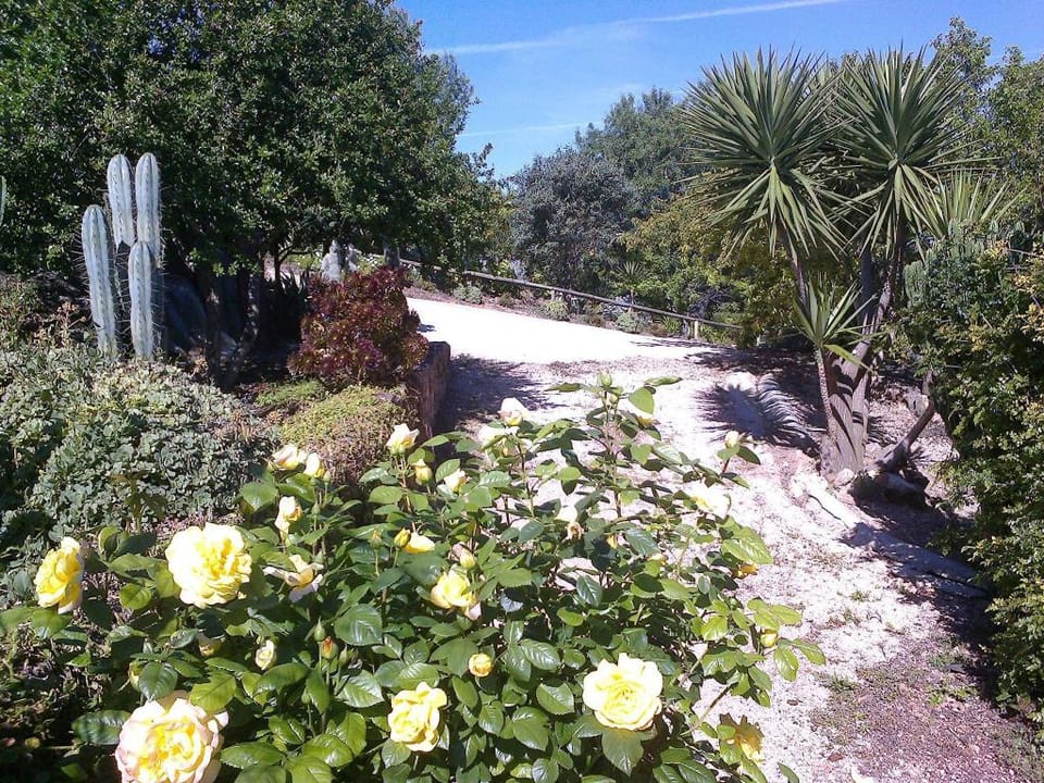 Casa Bi Rosario - Quinta Amoreira Apartment in Faro District