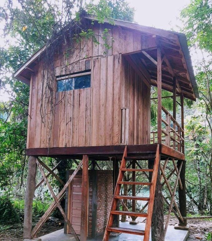 Bua Guesthouse Tangkahan Vacation rental in Indonesia