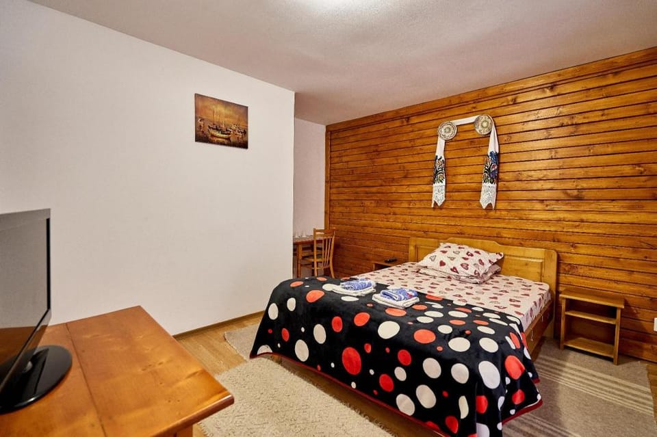 Pensiunea Radeasa Vacation rental in Romania