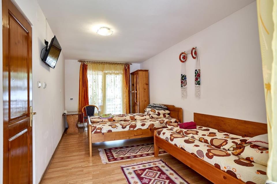 Pensiunea Radeasa Vacation rental in Romania