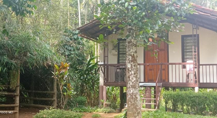Family villa is a hut style accommodation Villa in Kerala