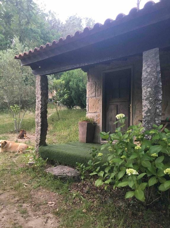 Forest House casinha do Carvalhal Farm Stay in Viana do Castelo District, Portugal