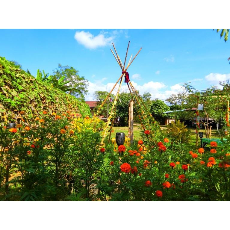 pernjai homestay Villa in Laos