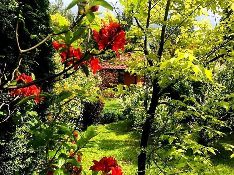 Klimatyczny, małopolski dom z magicznym ogrodem Vacation rental in Lesser Poland Voivodeship
