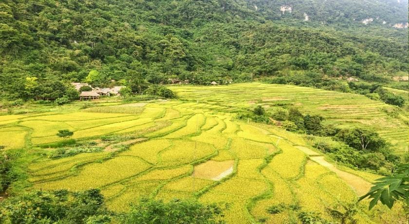 Pu Luong Homestay & Tours Vacation rental in Laos