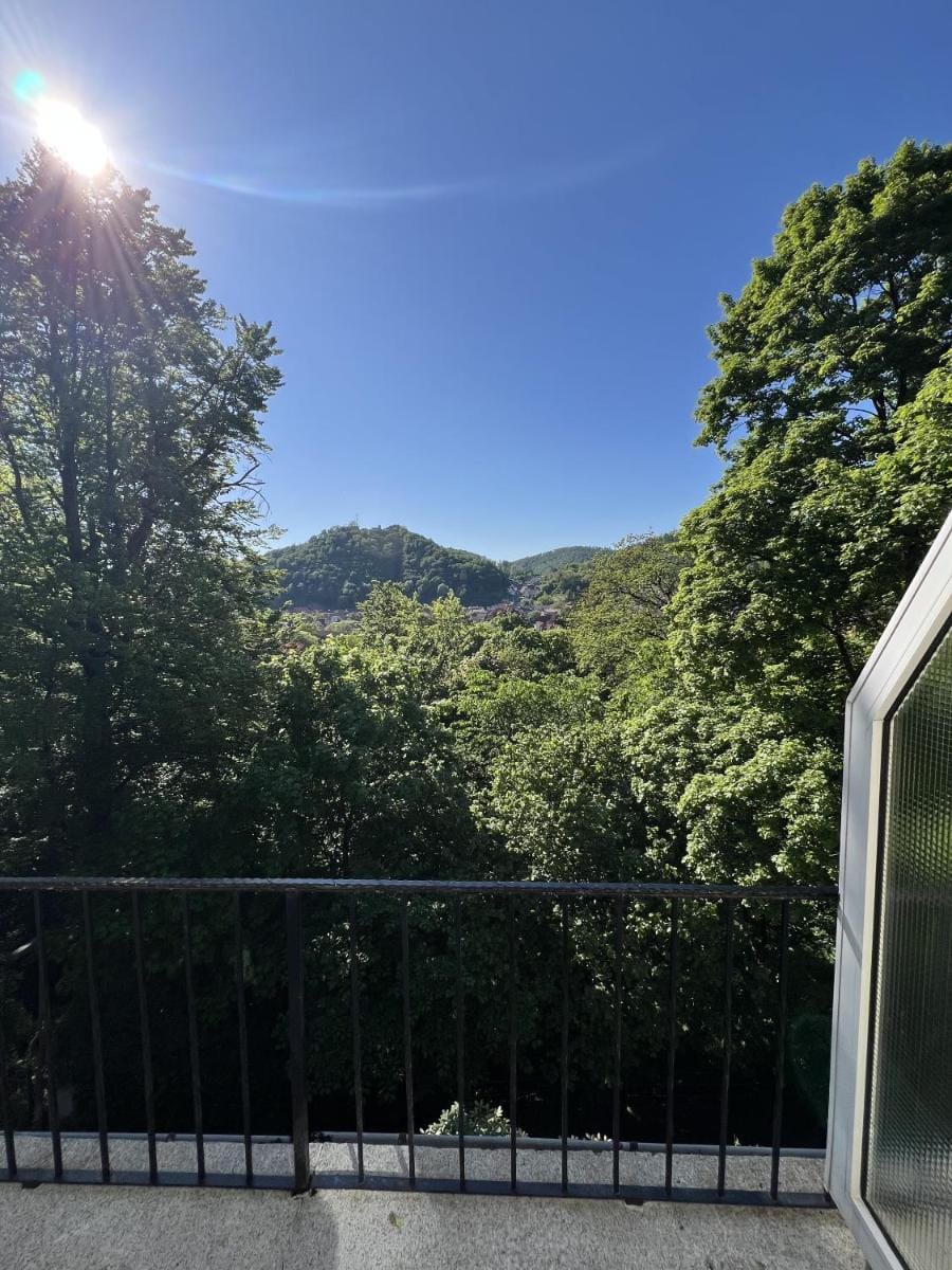 Pension Villa Pangea Bed and Breakfast in Thuringia, Germany