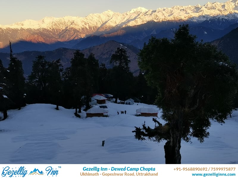 Baniyakund Bungalows Vacation rental in Uttarakhand