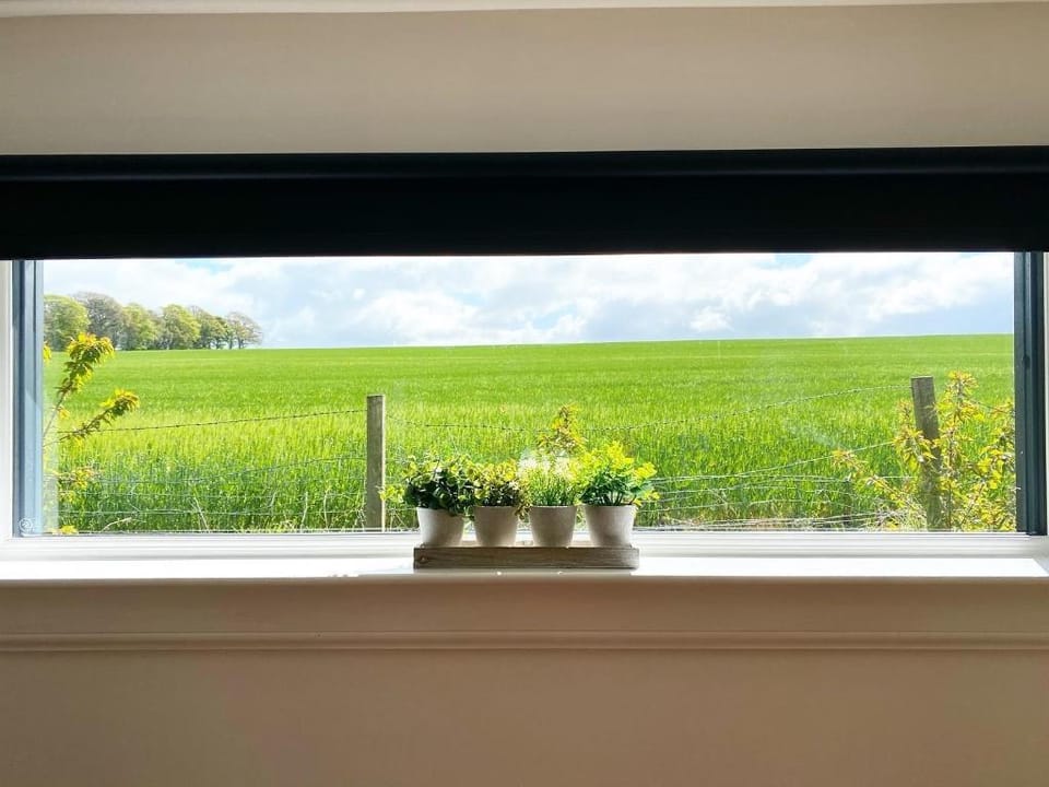 Druid House Lodge Vacation rental in Scotland