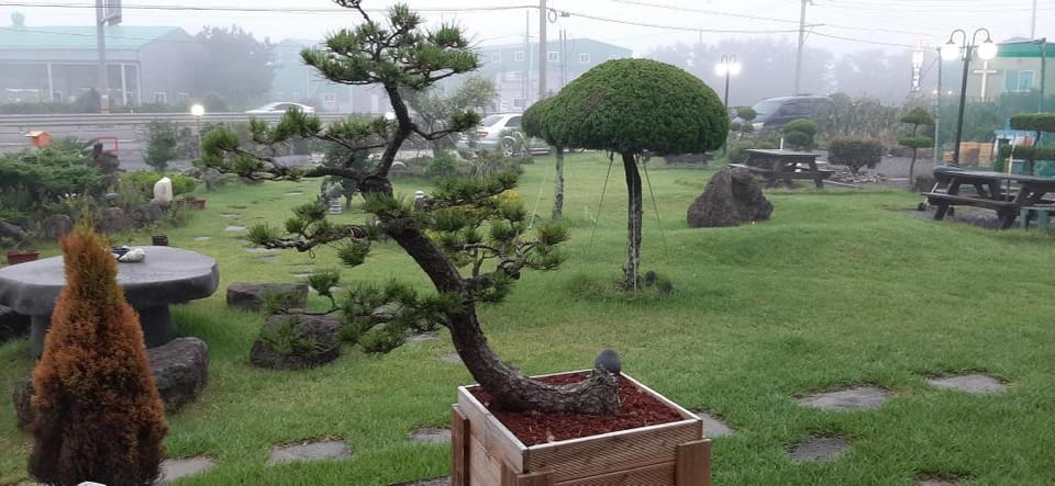 Jeju. My Half Time Carnival Duplex Vacation rental in South Korea