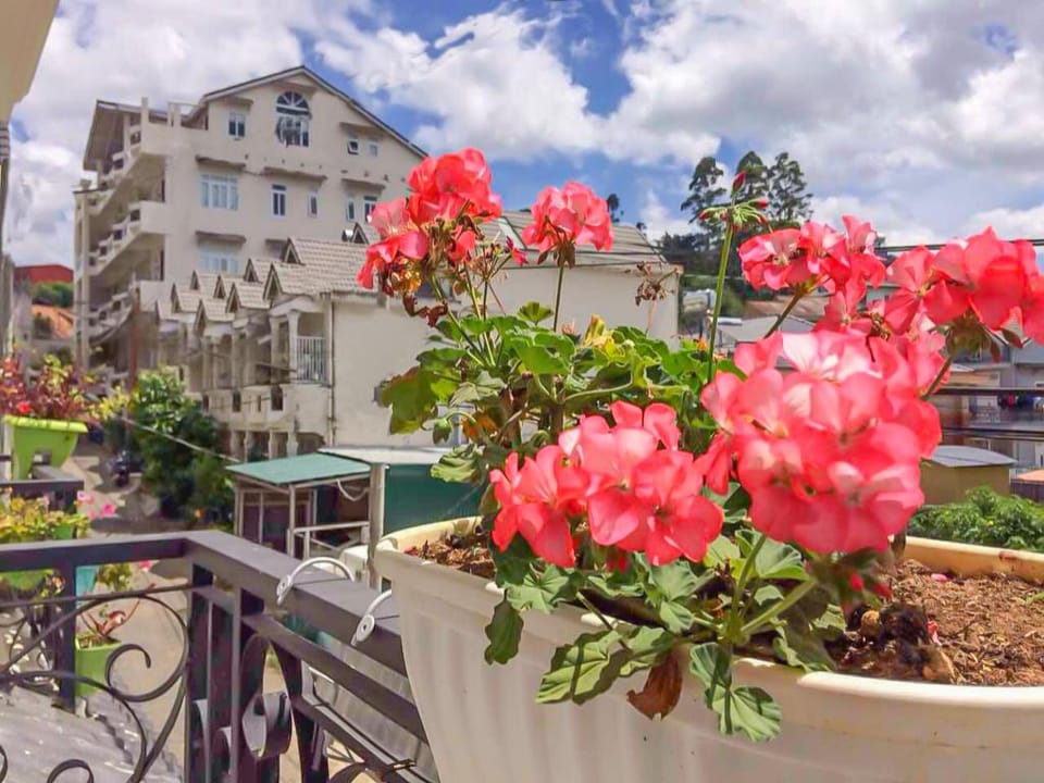 JOLIE HOUSE - Villa 1 Double Room Villa in Dalat