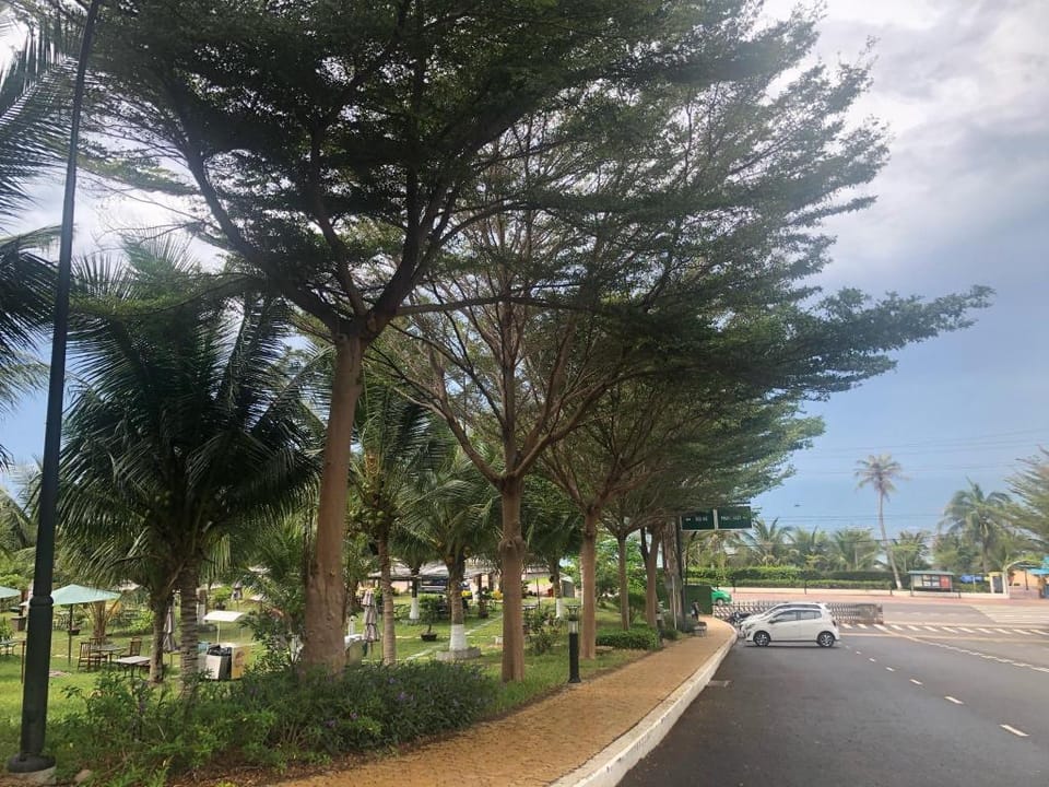 Ocean Vista Apartment in Phan Thiet