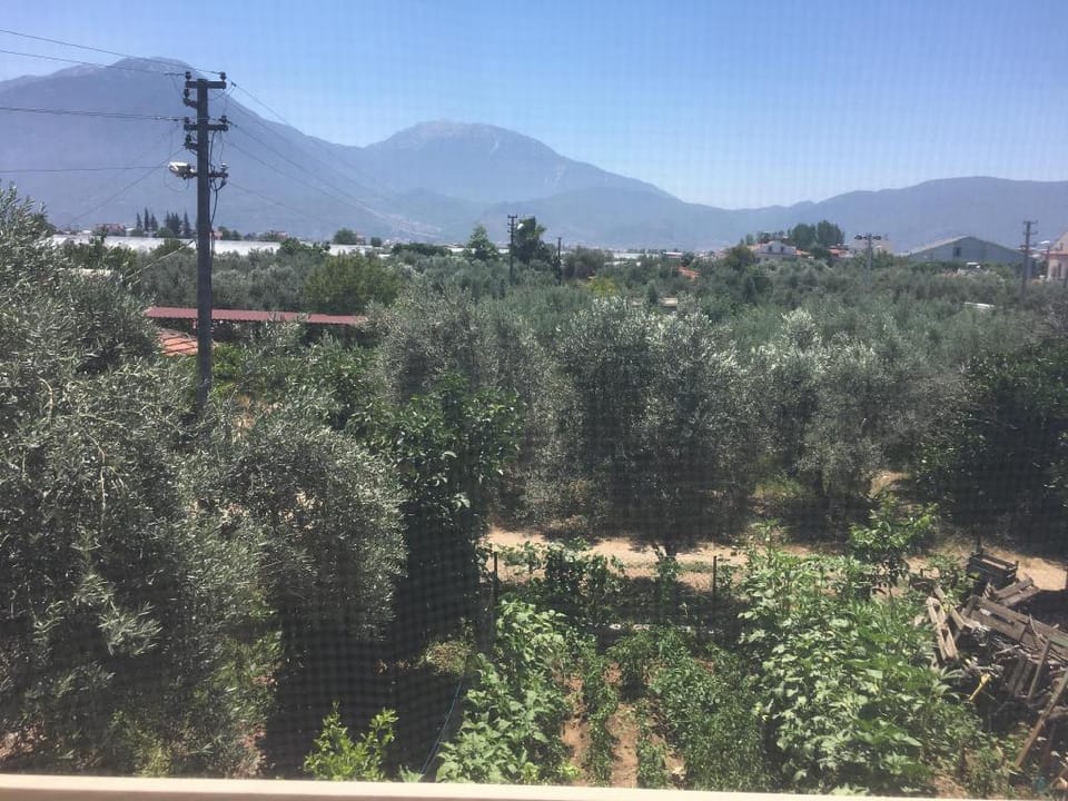 Fethiye Tatil Evi Begonvil 1 Vacation rental in Fethiye