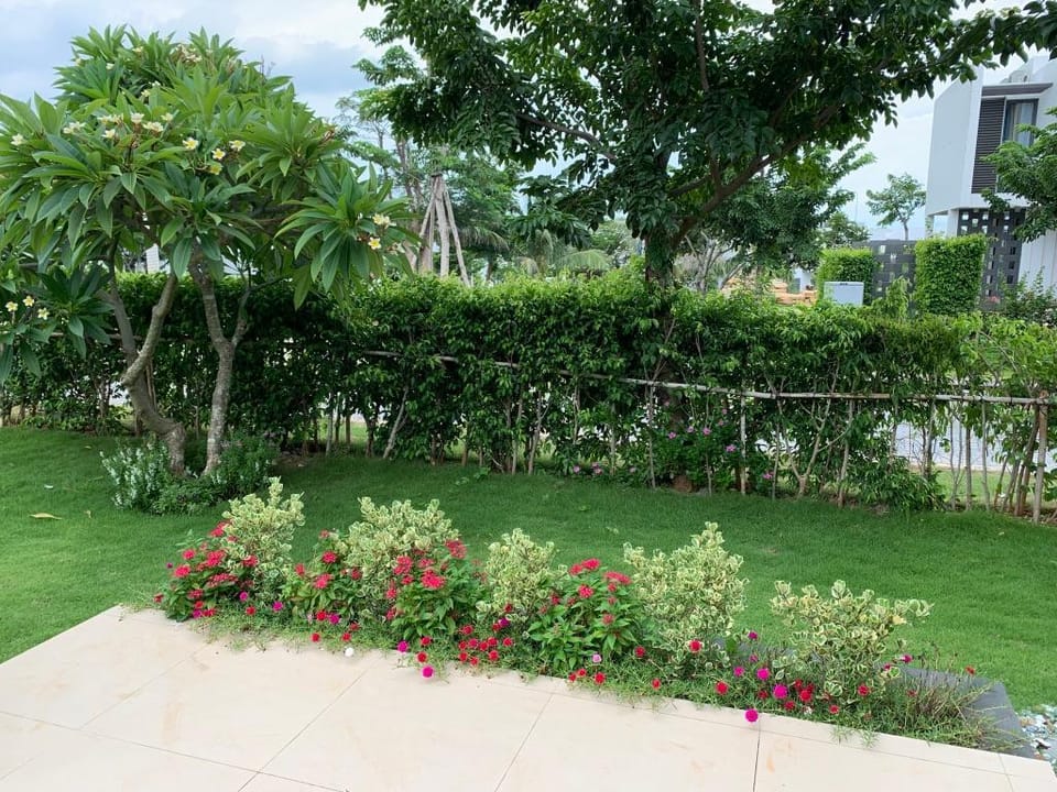 YES Standard Room - Oceanami Villas & Beach Club Apartment in Ba Ria - Vung Tau