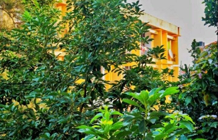 The Aviary 1BR1B NAGURU (WIFI + SOLAR) Vacation rental in Kampala
