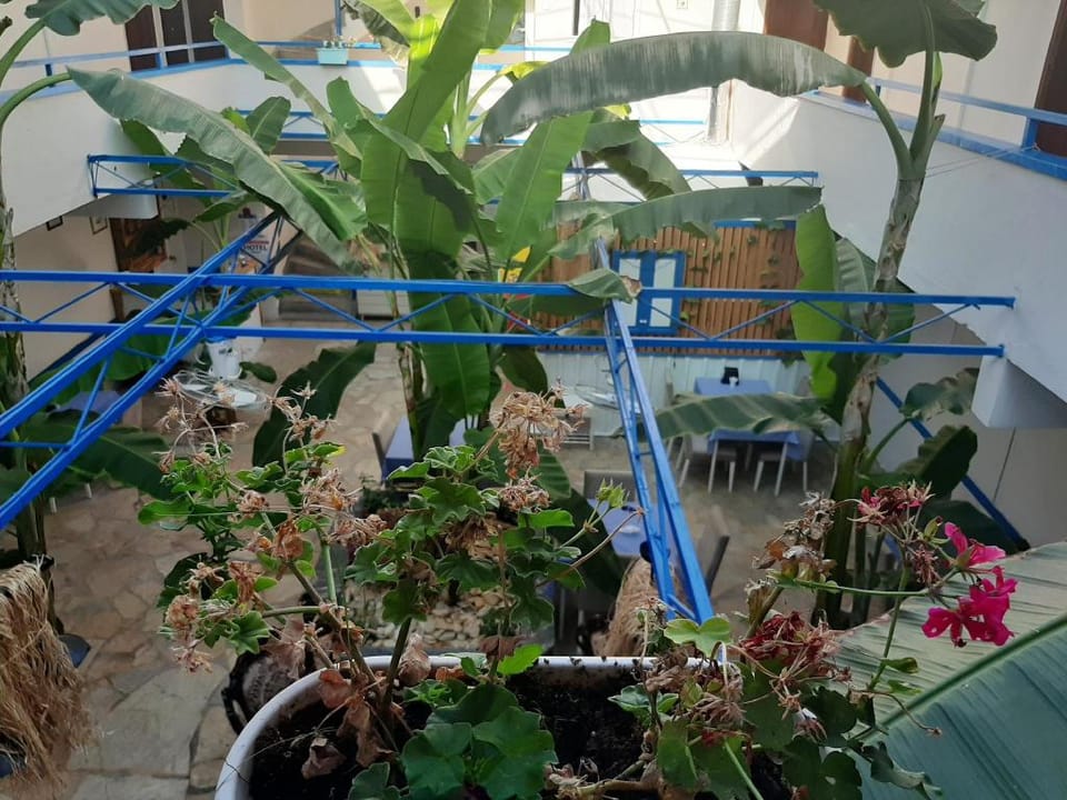 HOTEL SEBAT Apartment in Cesme