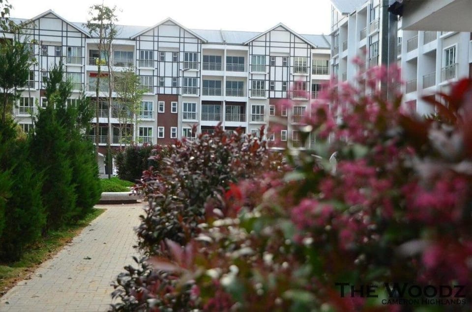 THE WOODZ x BINTEJI (Night Market) Apartment in Brinchang