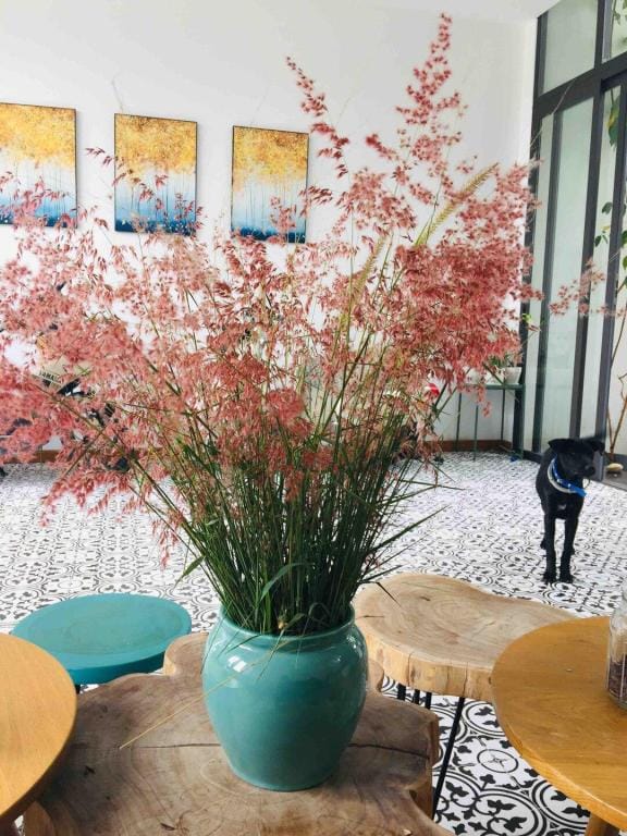 Room#102- Garden view- H2B Homestay Bai Dai Beach Vacation rental in Khanh Hoa Province
