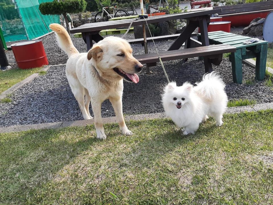 Jeju. Seongsan My Half Time Happy Vacation rental in South Korea