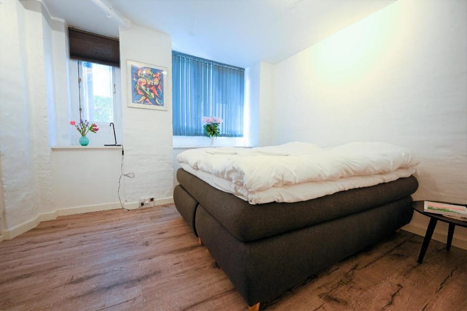 Cozy 2-bedroom apartment in downtown Copenhagen Apartment in Copenhagen