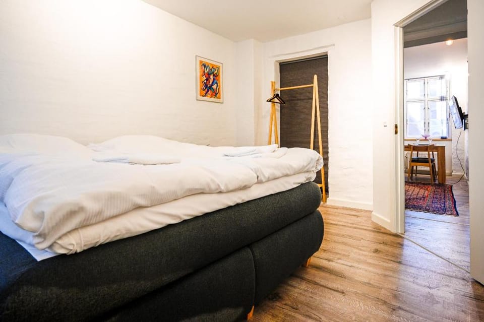 Cozy 2-bedroom apartment in downtown Copenhagen Apartment in Copenhagen