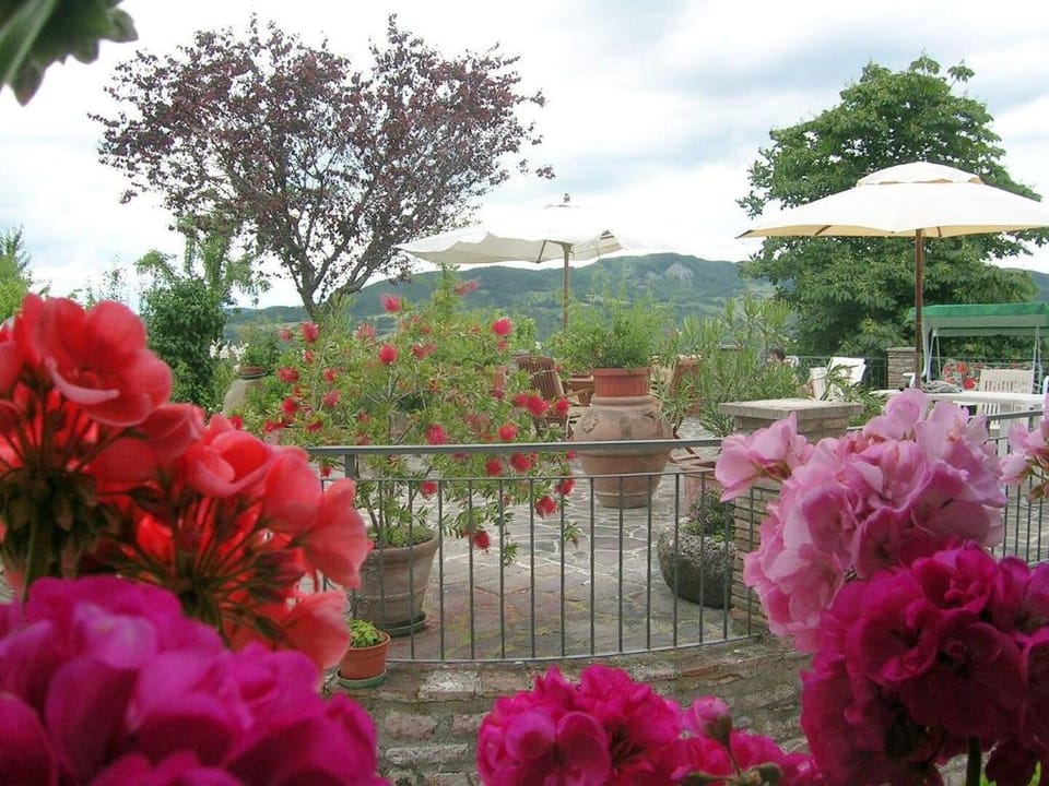 B&b and apartments in Assisi Apartment in Umbria