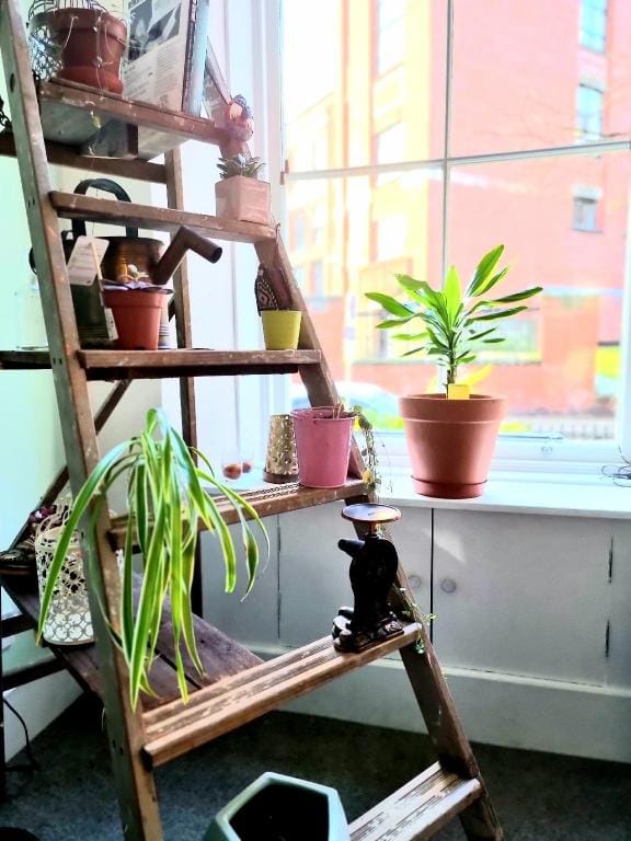 Cosy, Vibrant & Spacious Apartment In West End Apartment in Glasgow