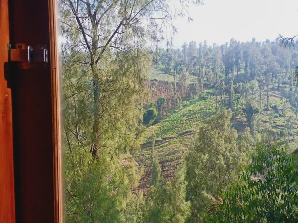 Villa RICKY  2 Gunung Bromo  Villa in East Java