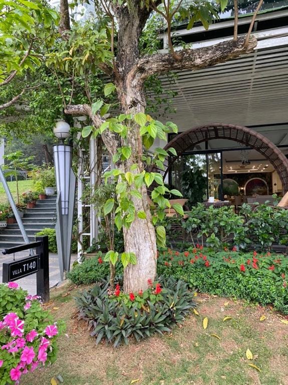 Flamingo Dai Lai - T140 Villa Villa in Laos