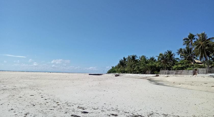 Rizzyfina commercial plaza Apartment in Central Visayas
