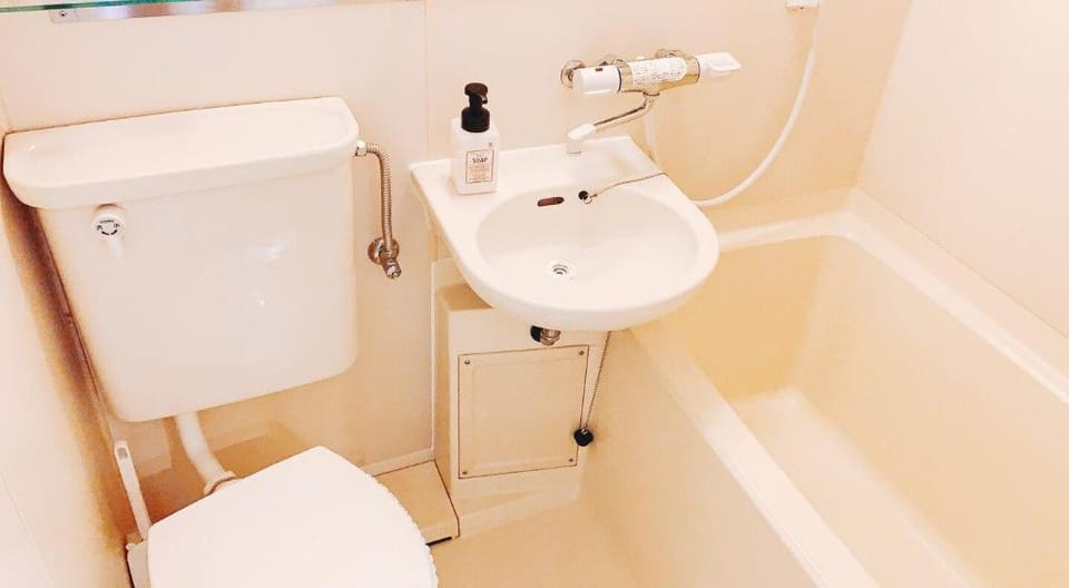 Koiwa Direct to Shinjuku/airport/close to station Apartment in Japan