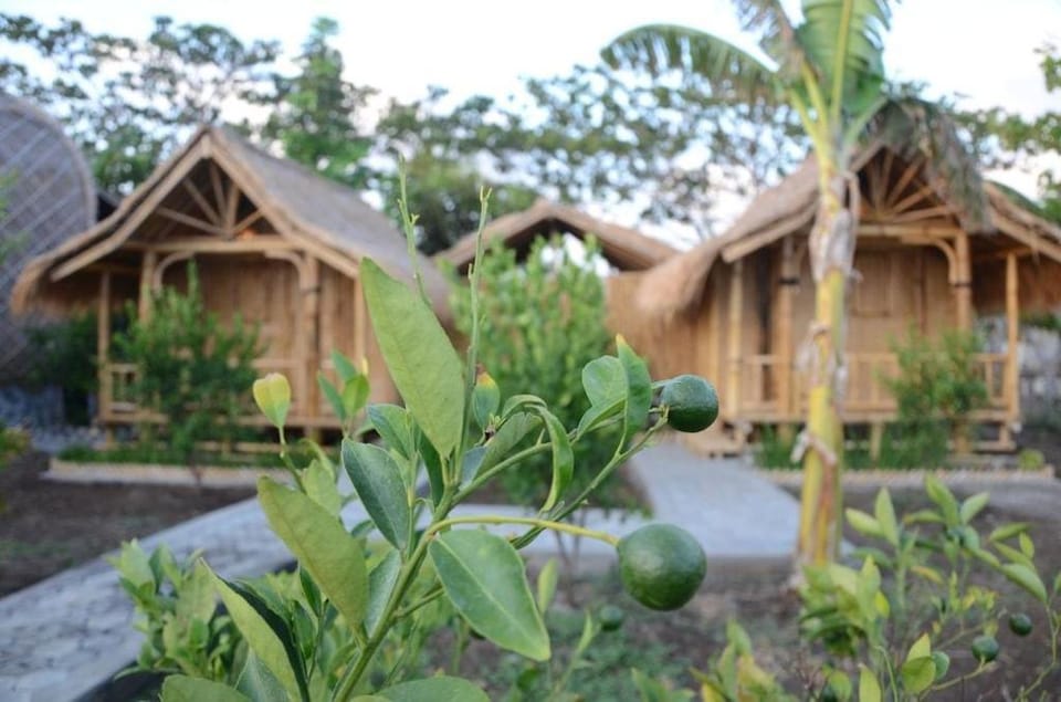 Standard 03 at Eco Garden Vacation rental in West Nusa Tenggara, Indonesia