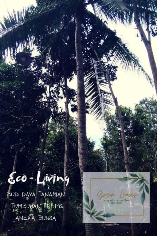 green leaves homestay Vacation rental in East Java