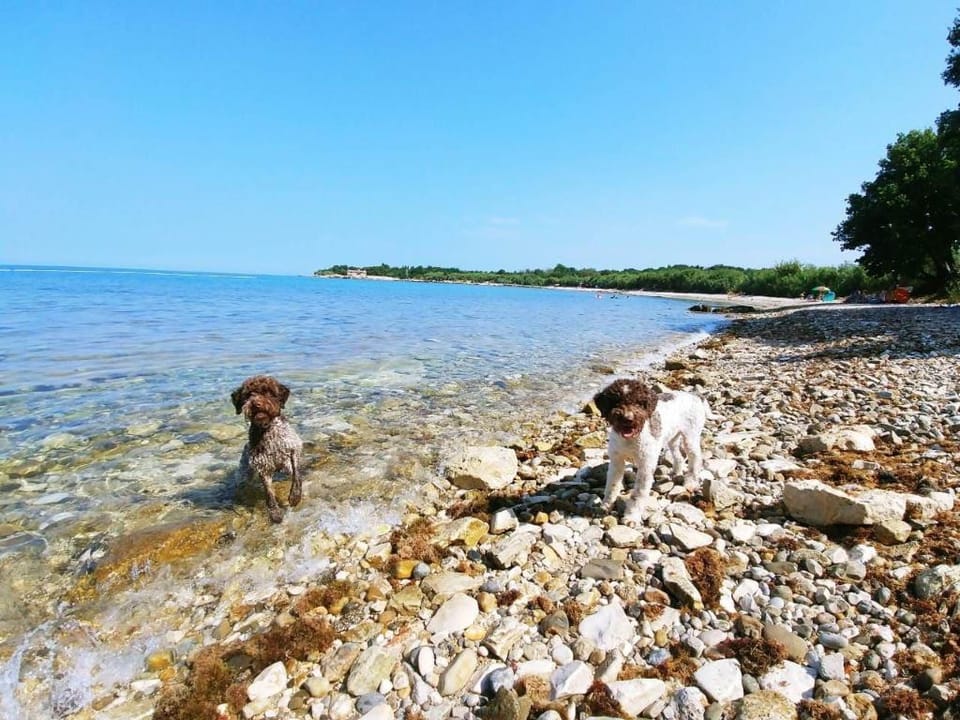 APARTMAN MATEA Apartment in Istria County