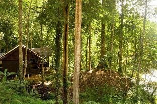 Timbang Jaya Houses Vacation rental in Indonesia