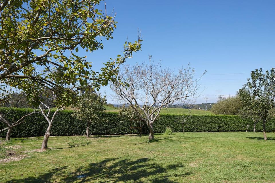 Casa Rural La Palmera - Landetxea Country House in Basque Country