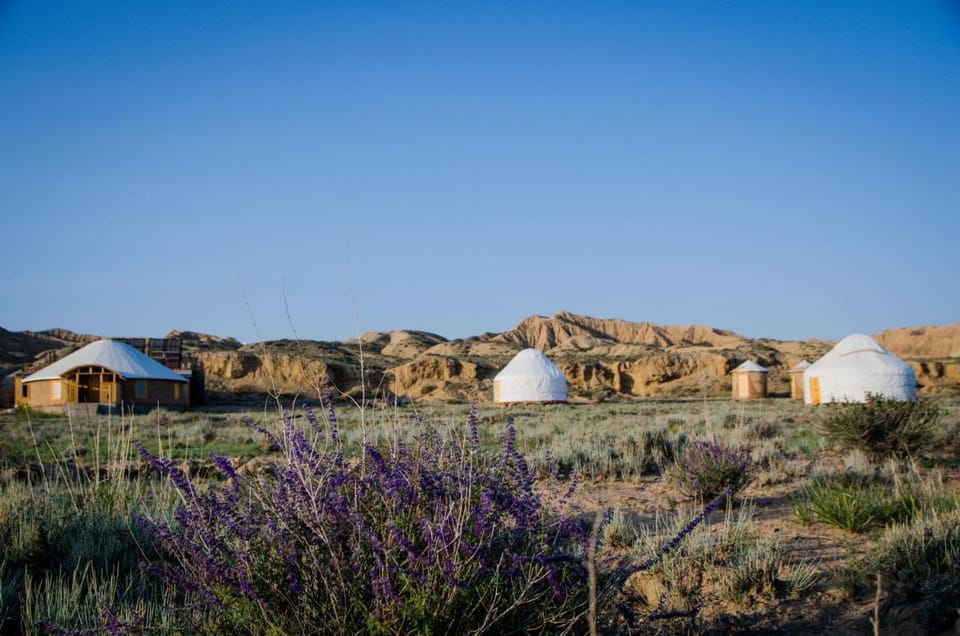 Feel Nomad Yurt Camp Bed and Breakfast in Asia