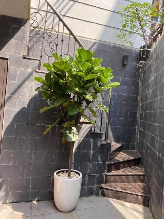 Zapata Wren Apartment in Laos