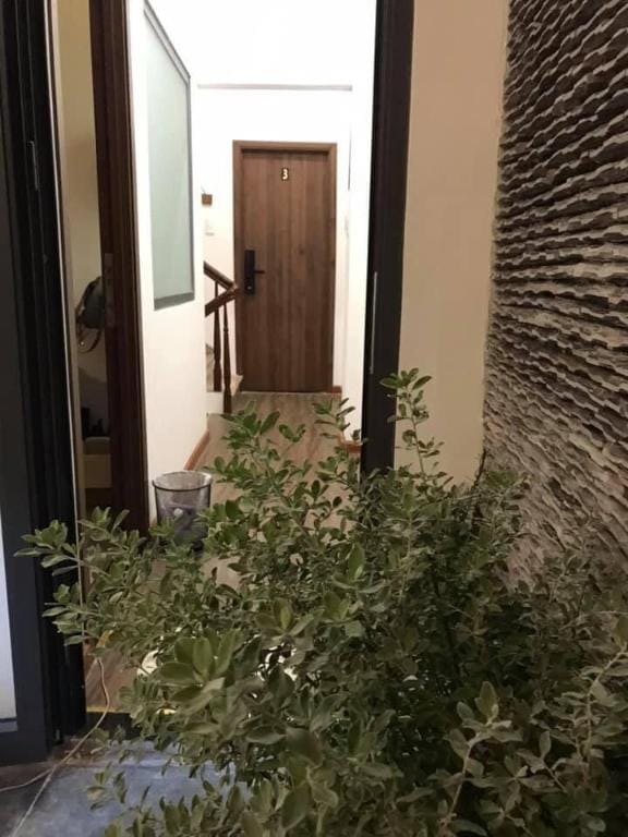 D's Alley Eco Homestay Room 2 Vacation rental in Ho Chi Minh City
