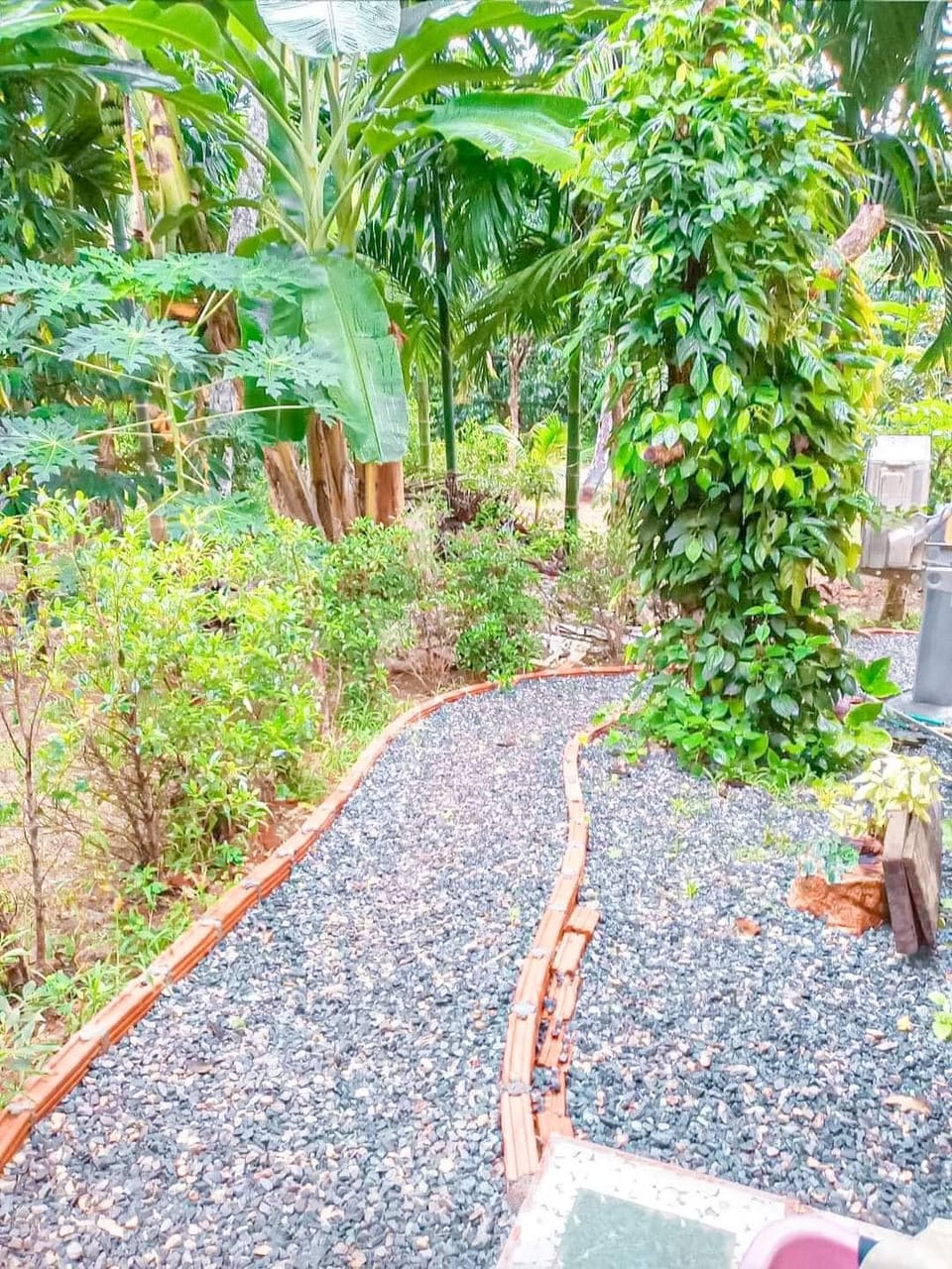 Ongsa HomeStay Vacation rental in Thailand
