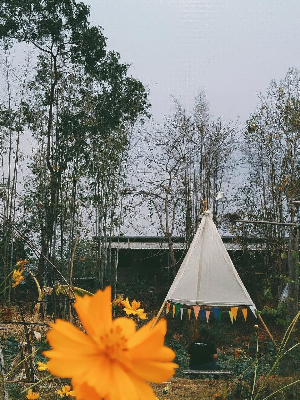 Nan Evergreen Countryhome Vacation rental in Laos