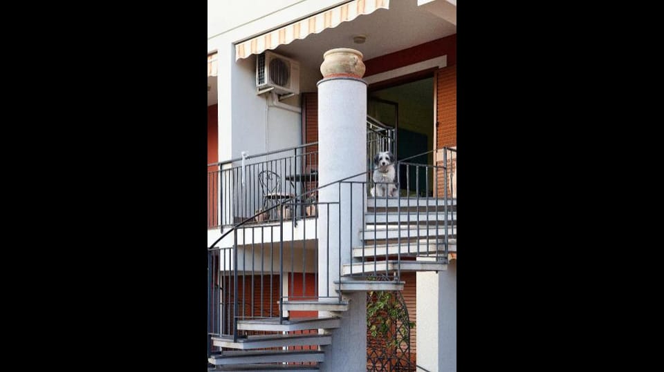 Adriana casa vacanze house 11 people Apartment in Sicily