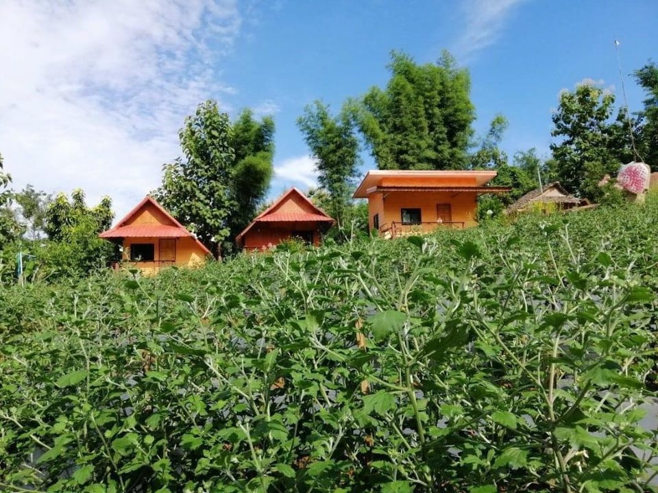 baanmonnoendoi Vacation rental in Thailand
